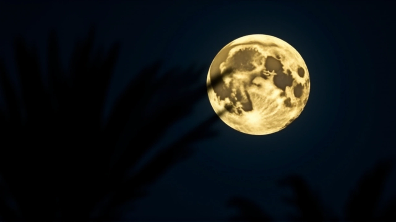 November 5 Supermoon to Be Brightest of 2025 in Arizona, Rises as Beaver Moon