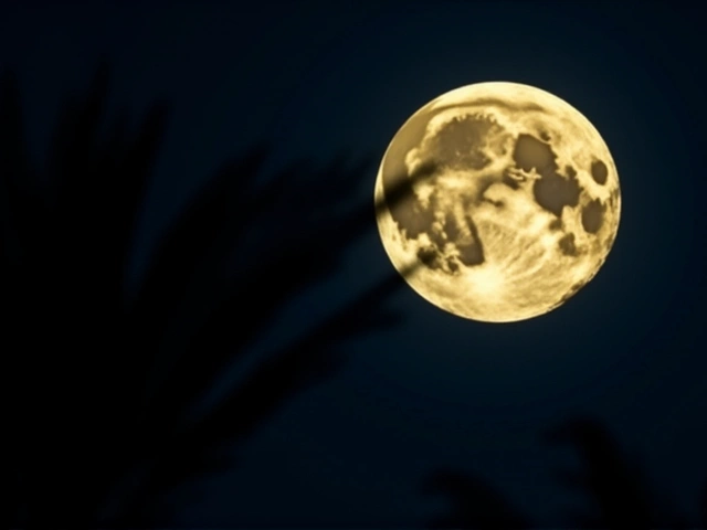 November 5 Supermoon to Be Brightest of 2025 in Arizona, Rises as Beaver Moon